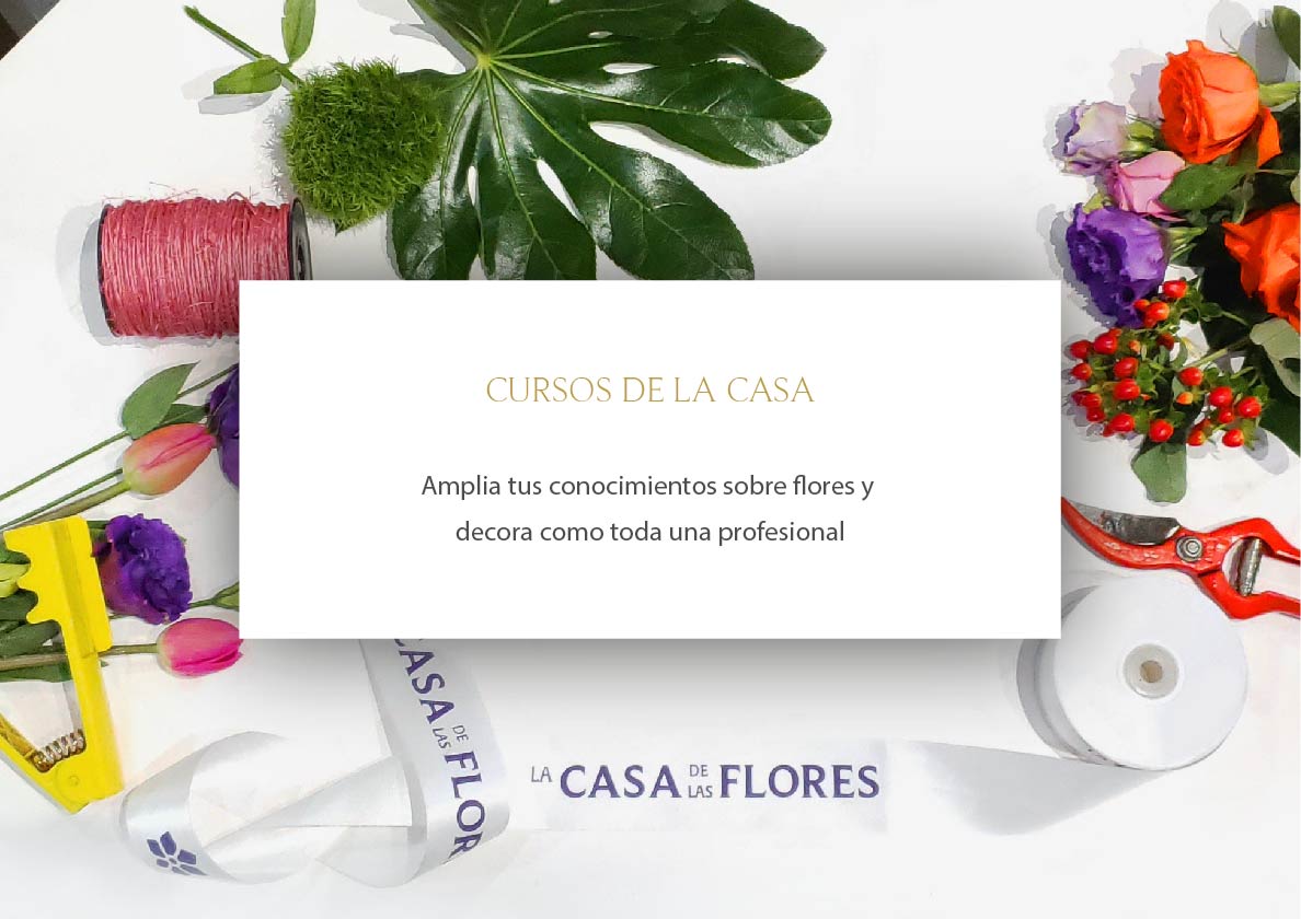 flores a domicilio